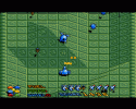 Star_Goose _12